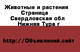  Животные и растения - Страница 4 . Свердловская обл.,Нижняя Тура г.